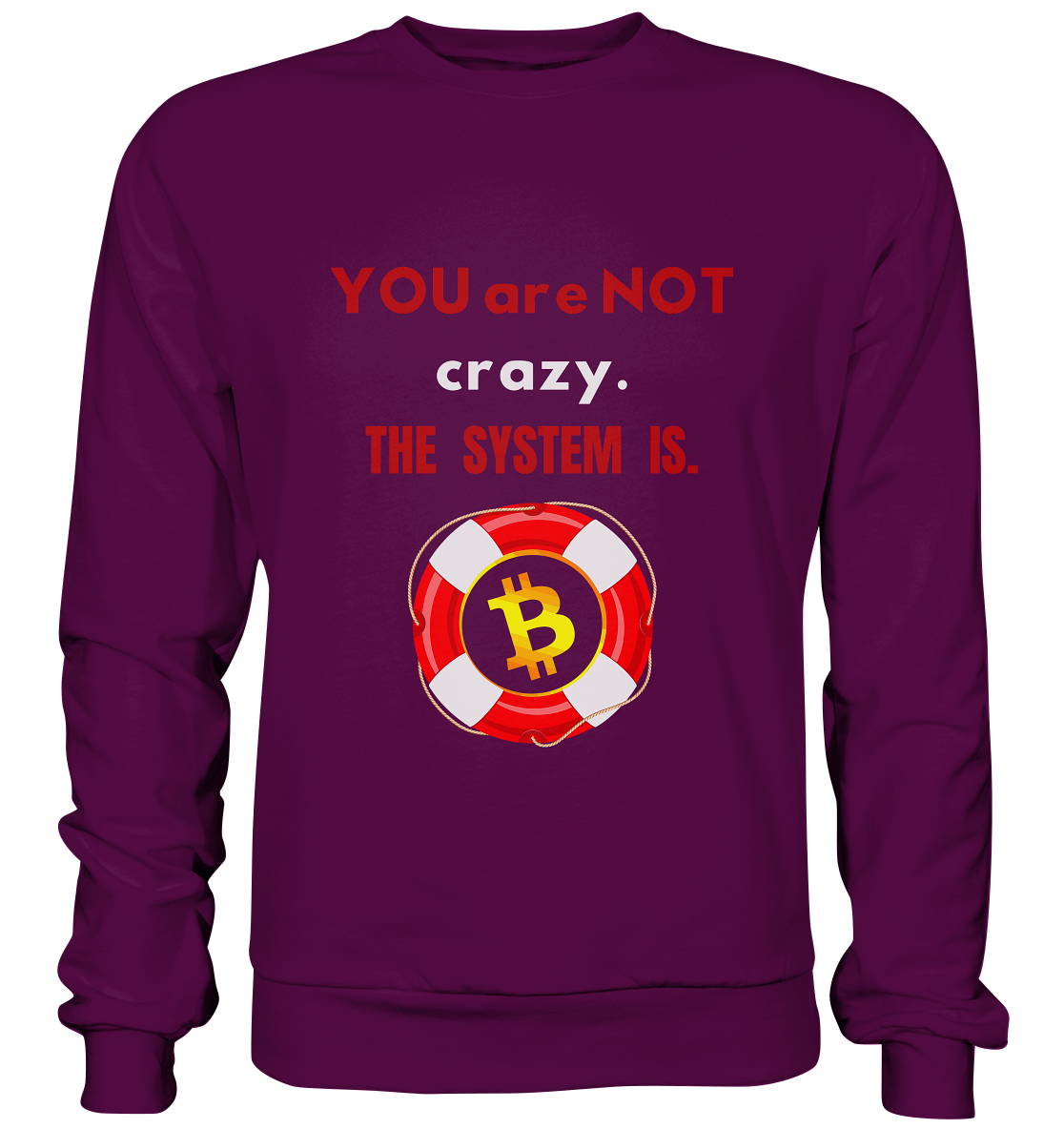 YOU are NOT crazy, THE SYSTEM IS. (BTC Rettungsring) - Basic Sweatshirt