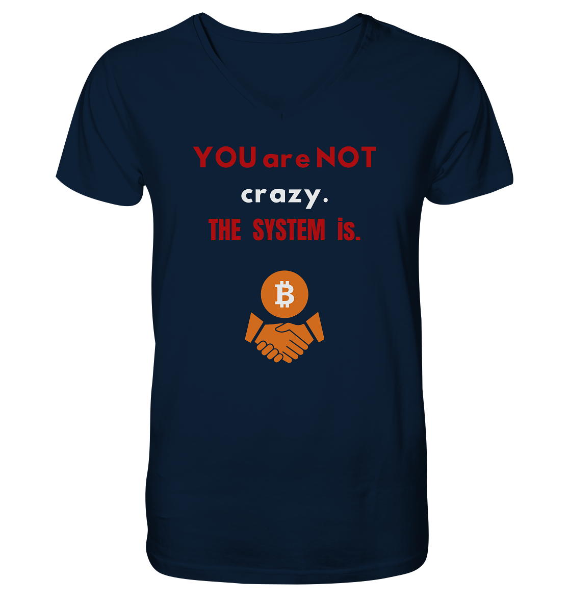YOU are NOT crazy. THE SYSTEM is. - V-Neck Shirt