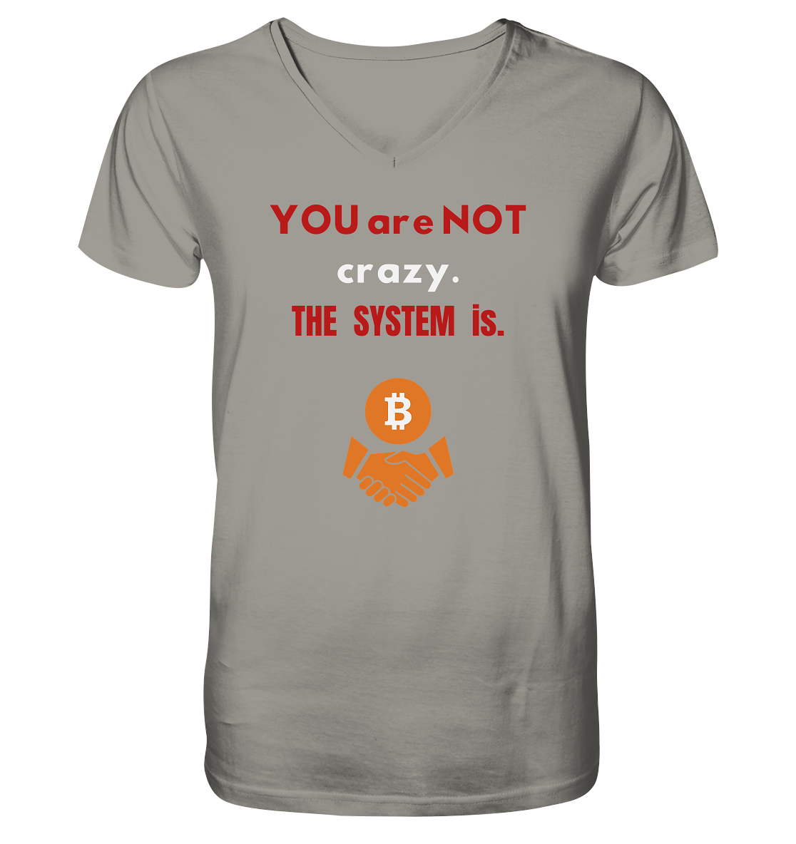 YOU are NOT crazy. THE SYSTEM is. - V-Neck Shirt